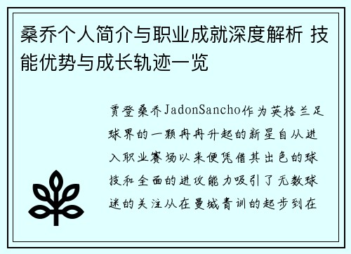 桑乔个人简介与职业成就深度解析 技能优势与成长轨迹一览