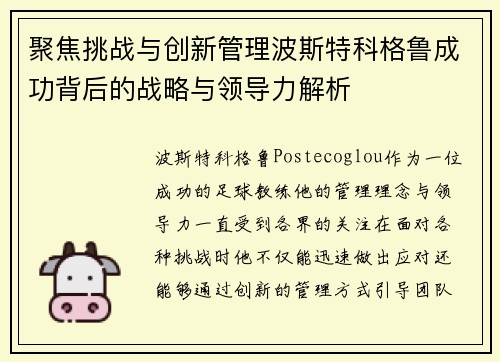 聚焦挑战与创新管理波斯特科格鲁成功背后的战略与领导力解析